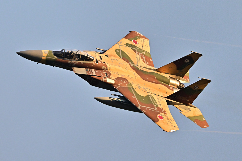 2025AGGRESSOR_92-8095_28