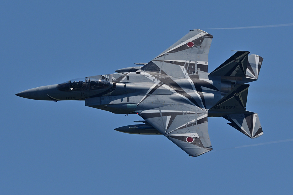 AGR_82-8093_03
