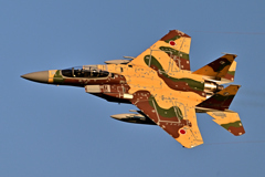 2025AGGRESSOR_92-8095_21