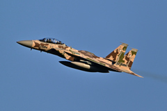 2025AGGRESSOR_32-8084_14