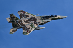 2025AGGRESSOR_32-8084_23