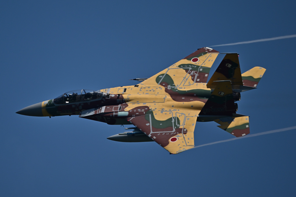 2024AGGRESSOR_92-8095_06