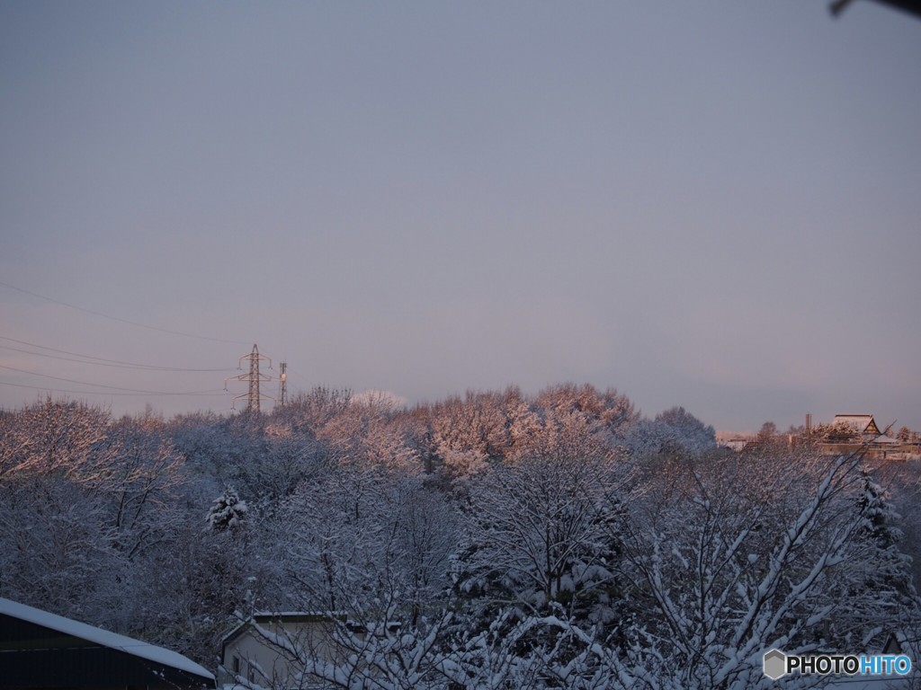 今朝の風景