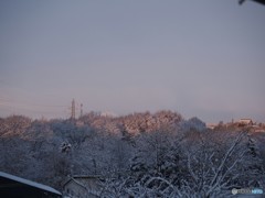 今朝の風景