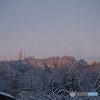 今朝の風景