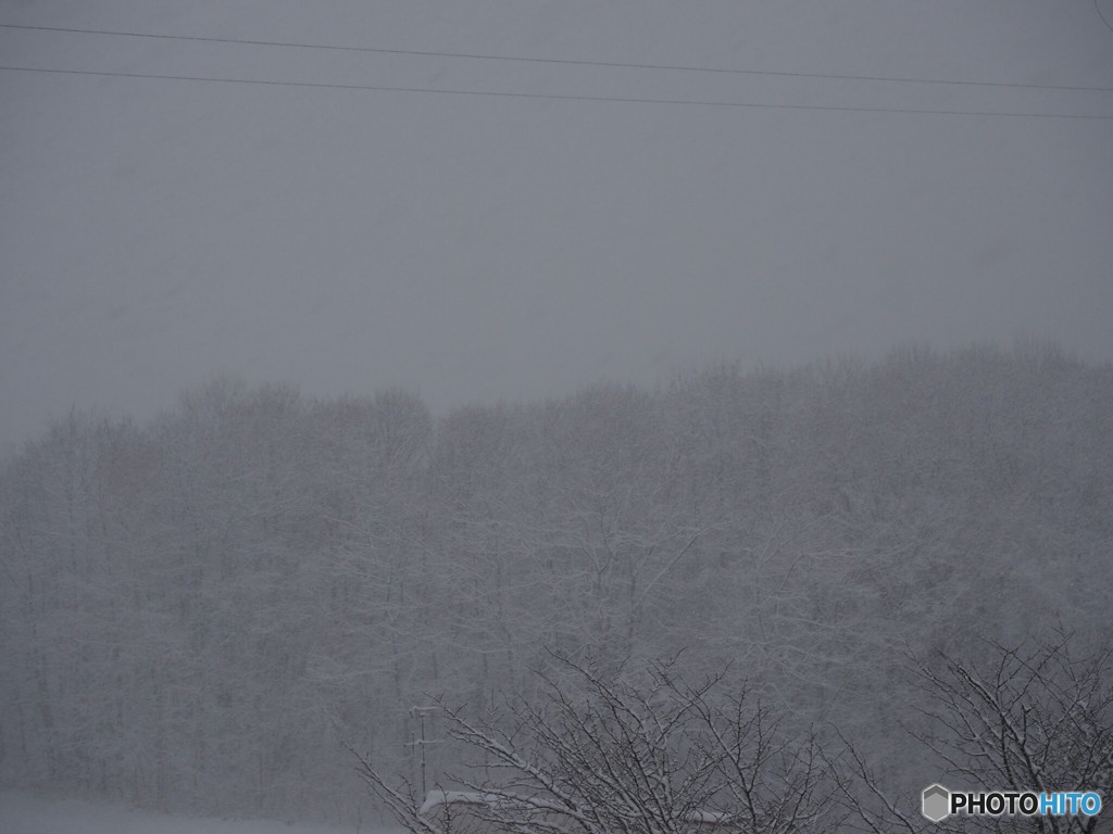 しんしんと