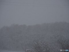 しんしんと