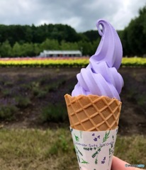 ラベンダーソフト