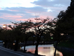 彦根城　夕暮れ時