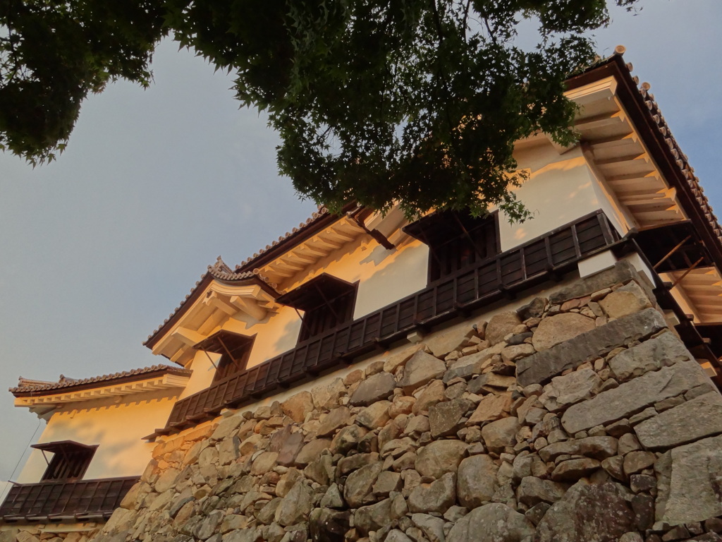 夕日に輝く彦根城