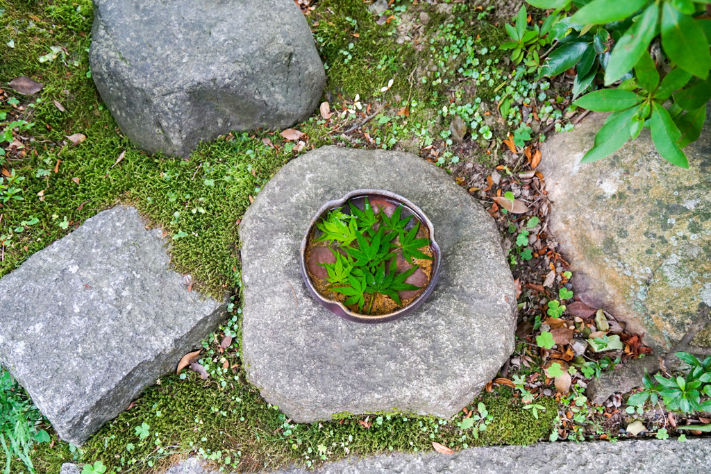 嵐山界隈