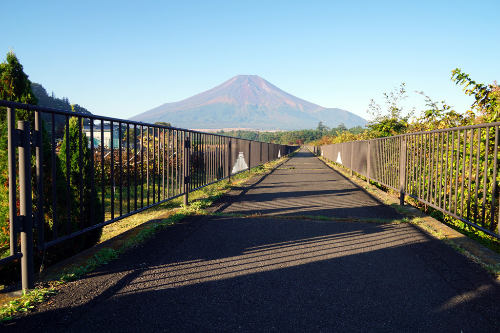 早朝の山中湖花の都公園