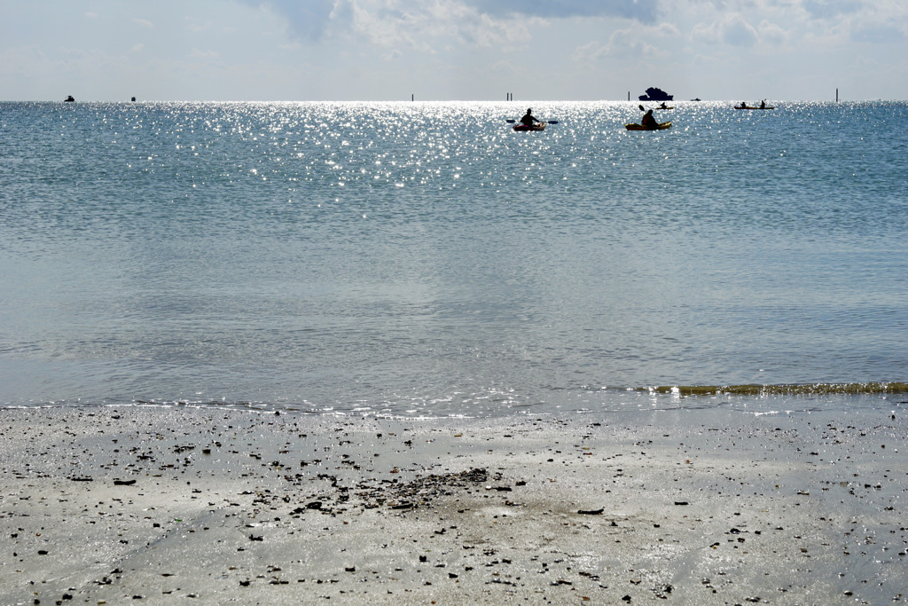 2016 辺野古の海