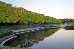 昭和記念公園の秋