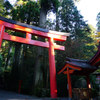 朝日に輝く　箱根神社の鳥居