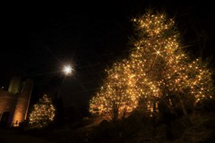 twinkle