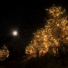 twinkle