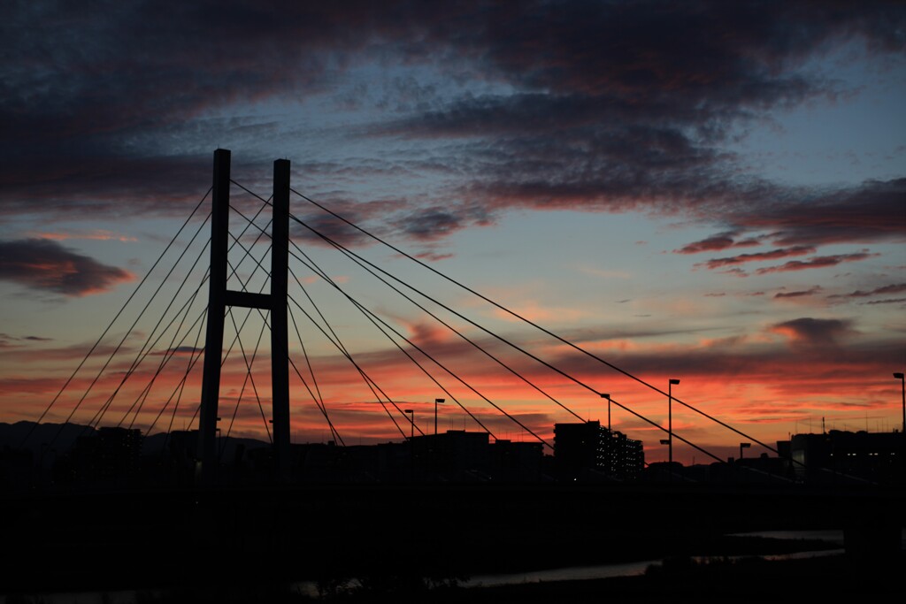 今日の夕日