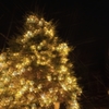 クリスマスツリー