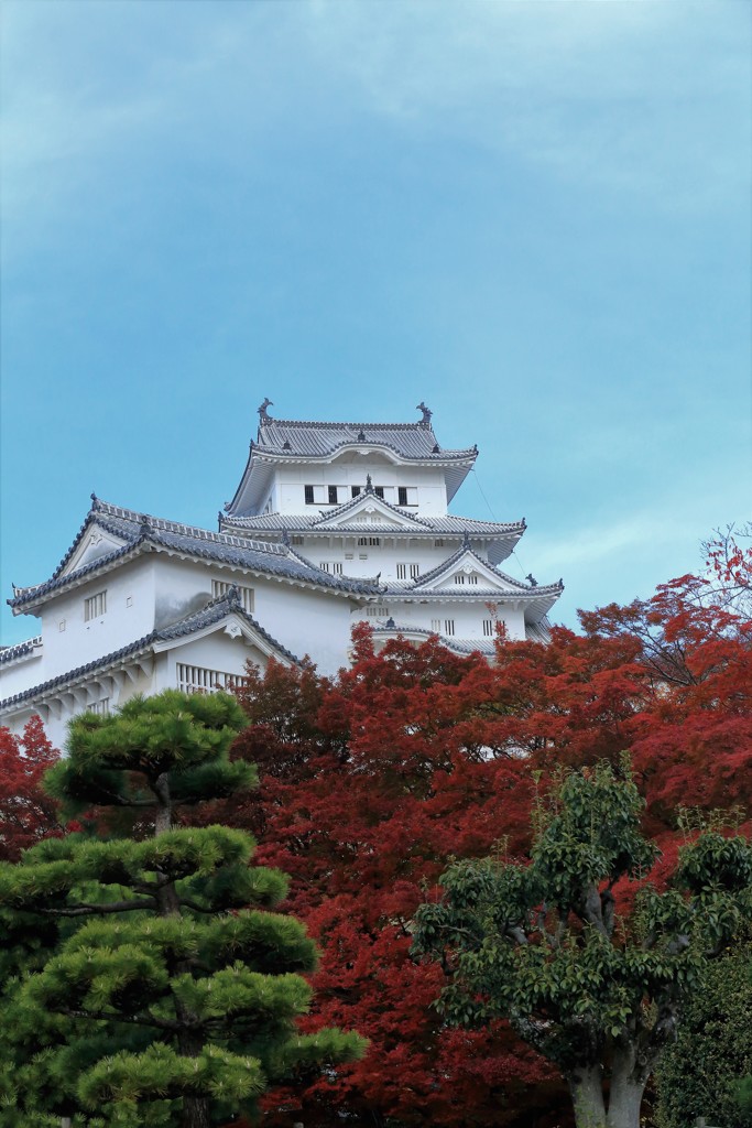 秋の姫路城