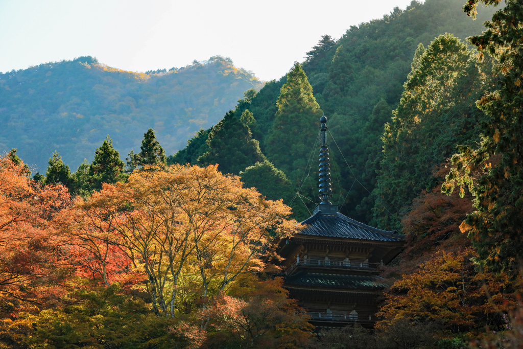 高源寺