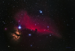 馬頭星雲