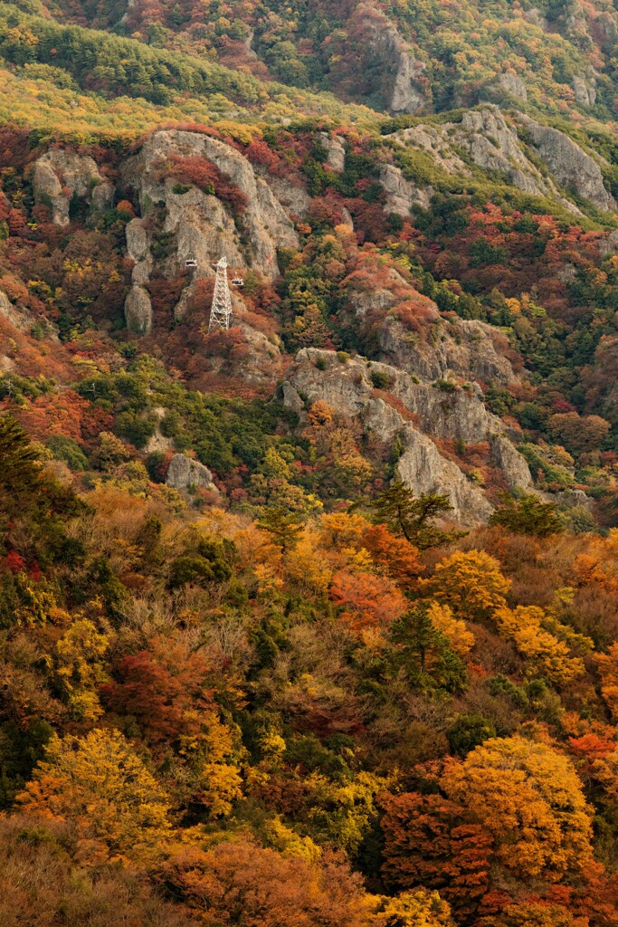 寒霞渓 紅葉