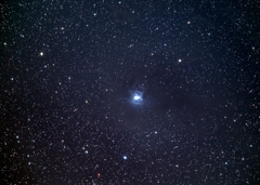 NGC7023　アイリス星雲