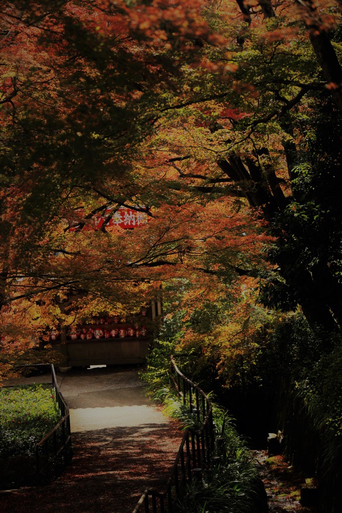 帰り道