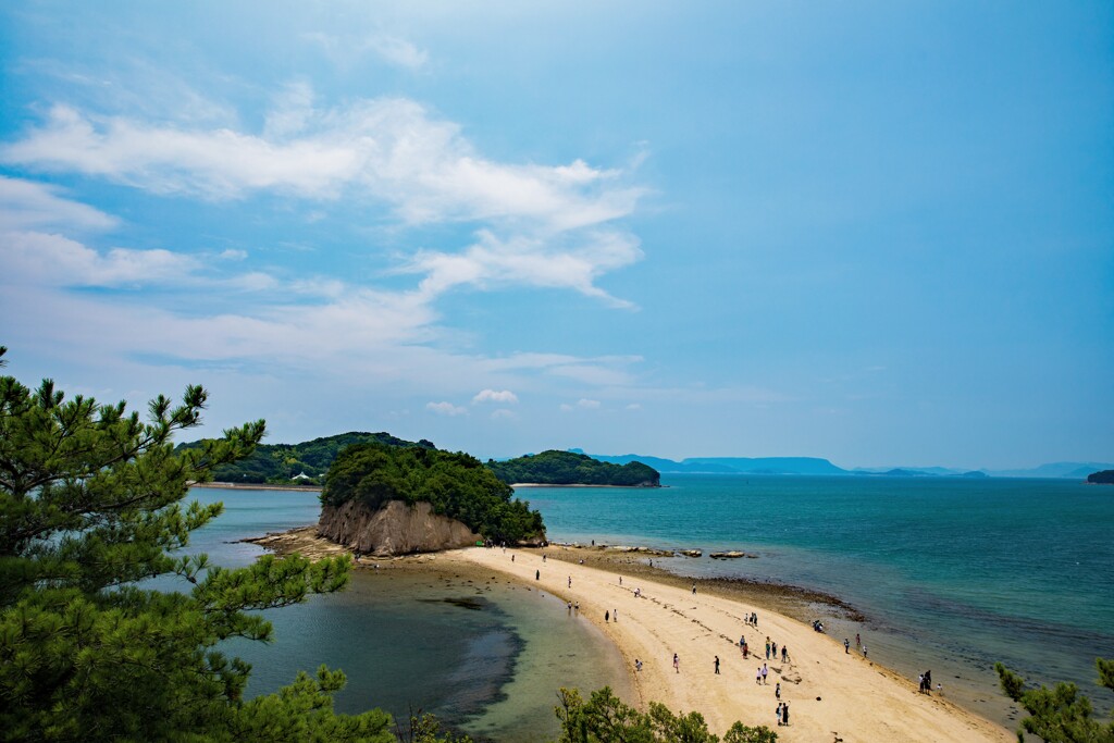 天使の散歩道