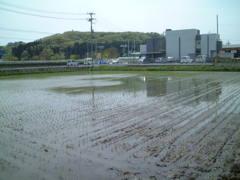 DSCF0612