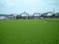 DSCF0720