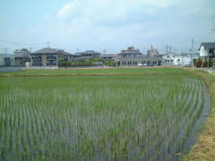 DSCF0010