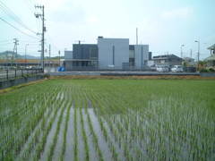 DSCF0011