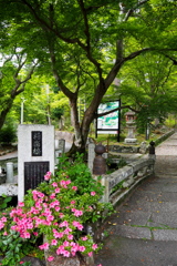 彩りの 極楽橋を 渡りゆき