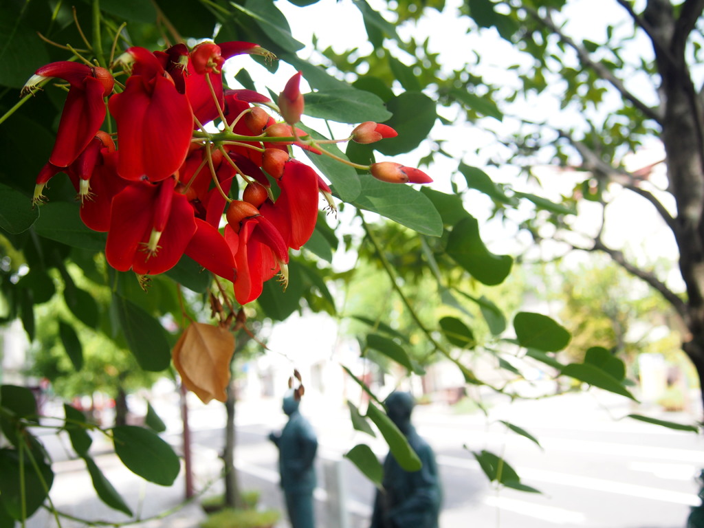 鮮やかや 通りの花は 海紅豆（かいこうず）