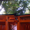 朝陽さす 千本鳥居は 彼岸前