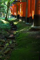 苔もあり 流れもあります 鳥居道