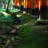 苔もあり 流れもあります 鳥居道