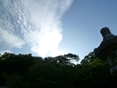 清々し 行き合いの空 秋の朝