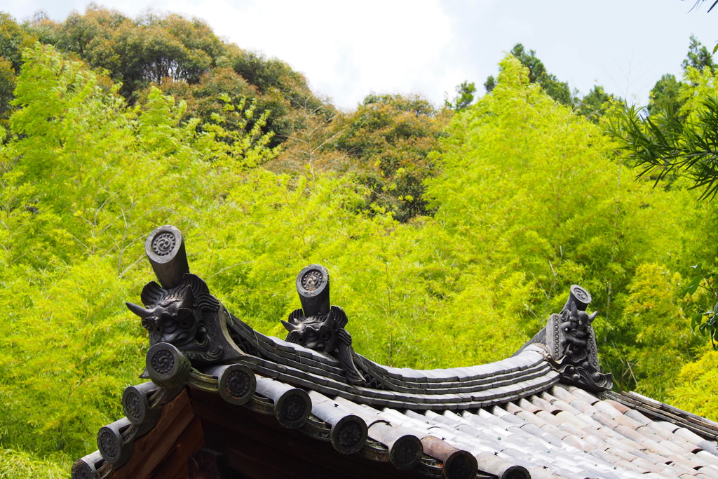 新緑の 中に睨みは 鬼瓦