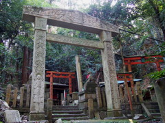 冬ウォーク 大岩山中 石鳥居