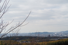 山頂は まだ冬気配 曇り空 （南西）