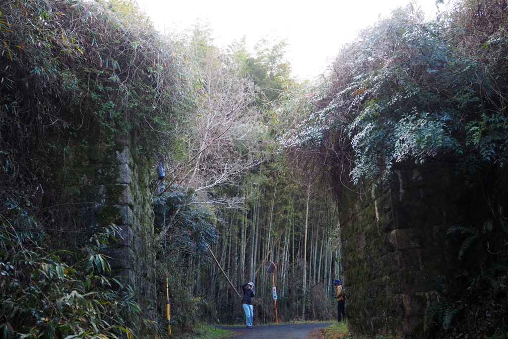 早春の 大仏鉄道 跡巡る ①観音寺橋台