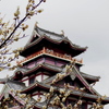 早春の 梅香ほんのり 漂いて