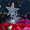 クリスマス ムード高める 花売場