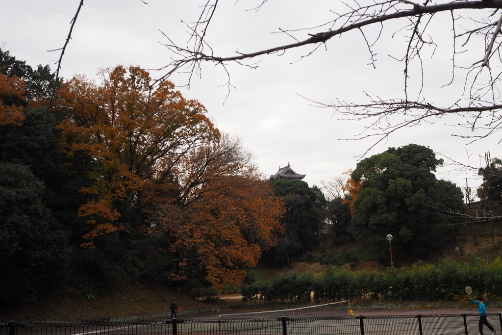 秋去りて 城下公園 鈍き色