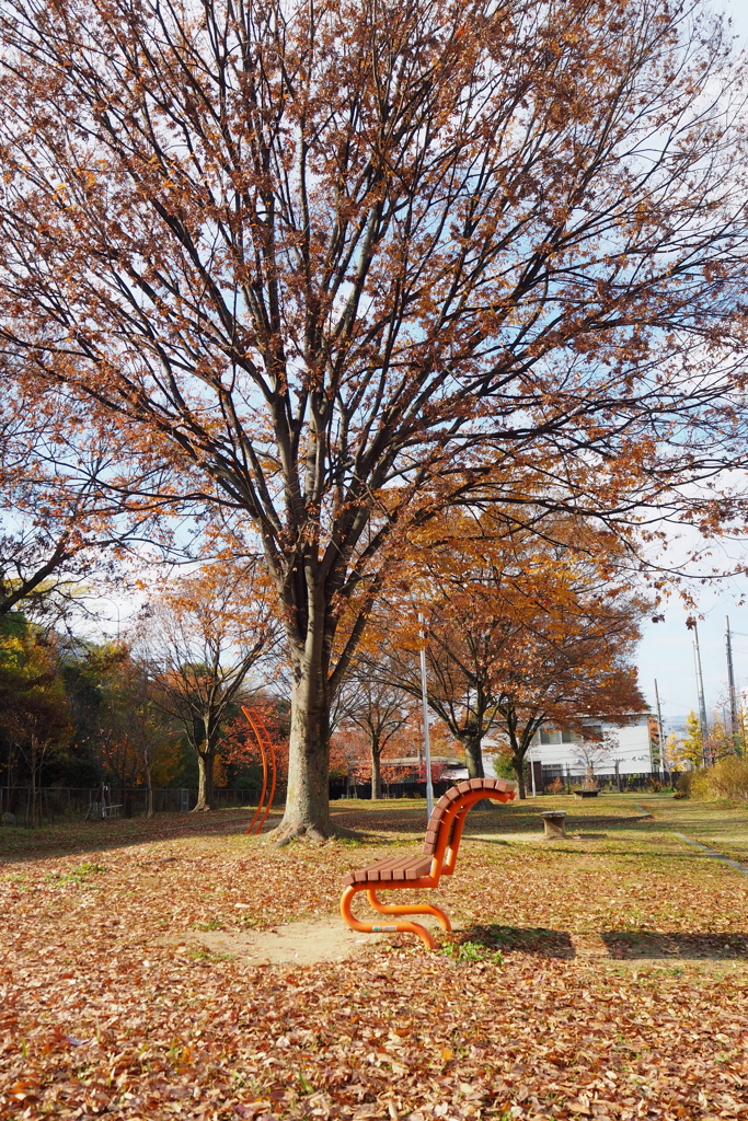 公園は 小春日和や ここちよし