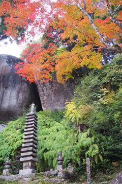 笠置寺 十三重塔 秋景色