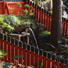 水とうとう 白菊の滝 こだまして